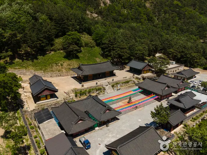 ba47e20b-4321-49e5-896b-d02396f25ef7