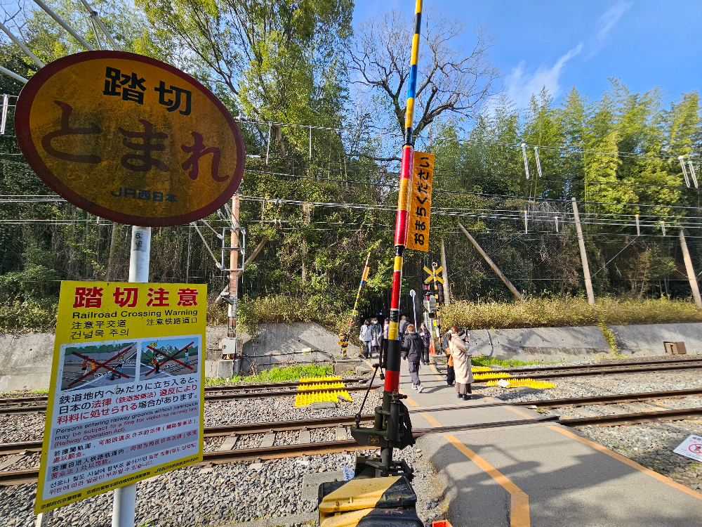 아라시야마 치쿠린