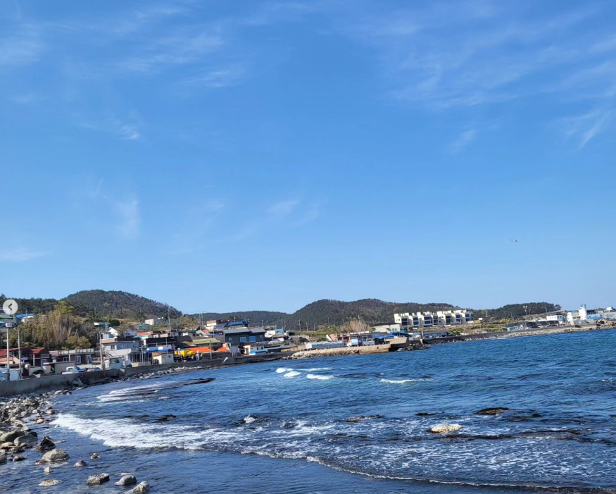 포항구룡포씨푸드축제-포항가볼만한 곳