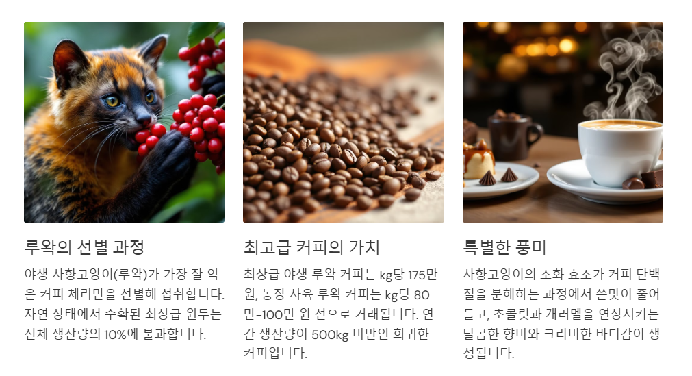 루왁커피