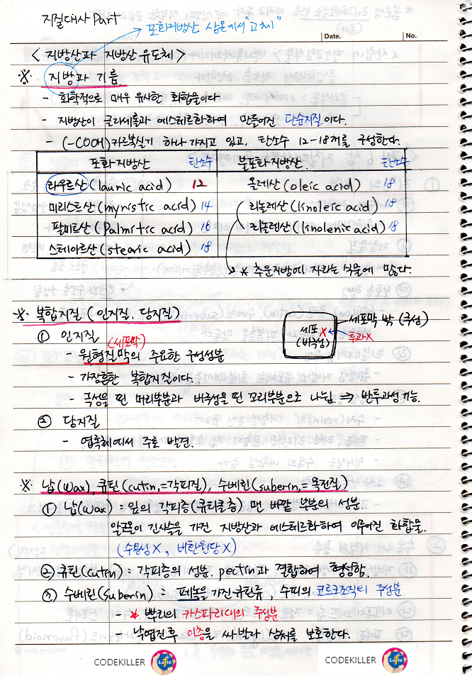 지방산과 지방산 유도체