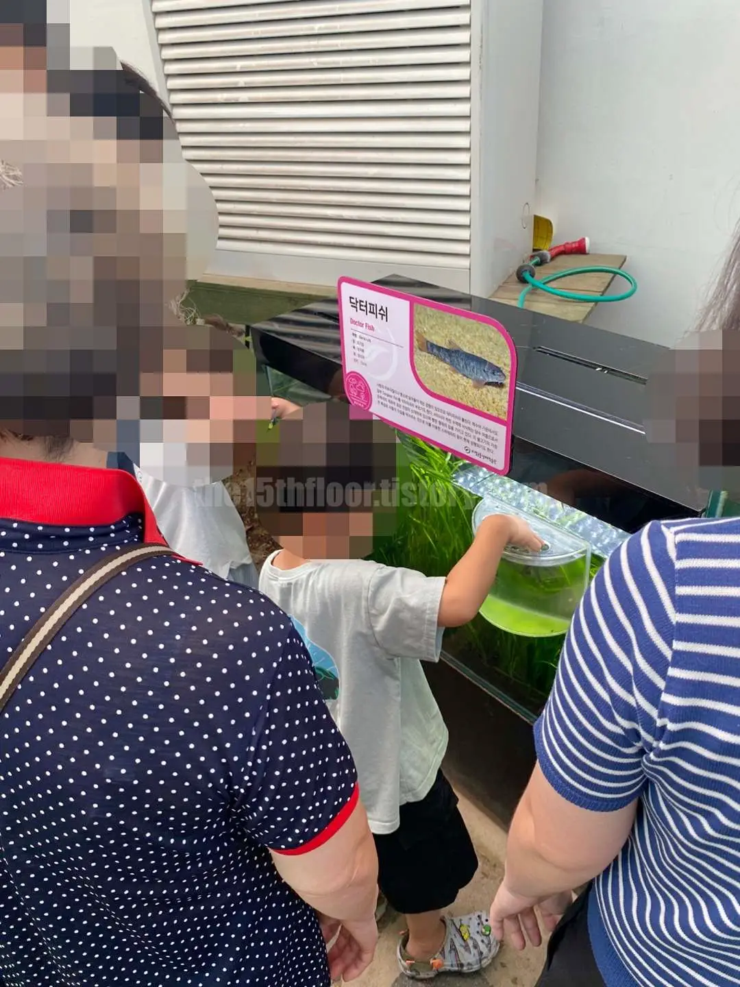 경남 의령 &amp;#39;의령 곤충생태학습관&amp;#39; (1층&amp;#44; &amp;#39;생태 유리온실&amp;#39;)