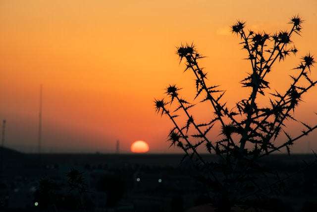 무등산 서석대 일출&amp;#44; 이 시간에 가야 100% 성공