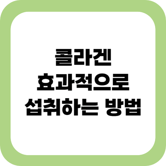 콜라겐 효능 및 섭취 방법