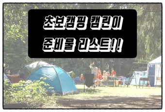 캠핑 초보를 위한 꼬치구이 레시피 및 조리법 정리_23
