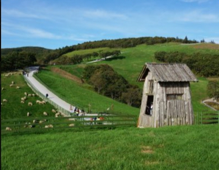 평창 가볼만한곳