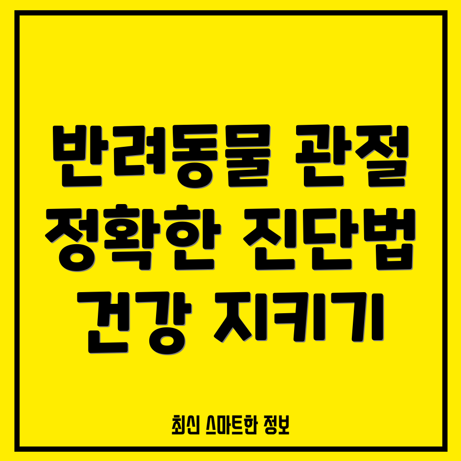 반려동물 관절염 진단