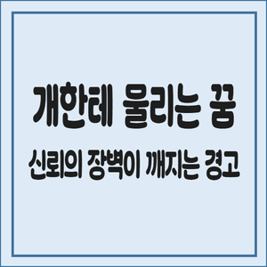 개한테-물리는-꿈-신뢰의-장벽이-깨지는-경고