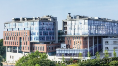 2024년 대한민국 의과대학순위 TOP10