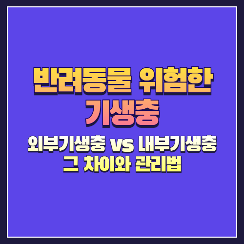 반려동물에게 위험한 외부기생충 vs 내부기생충, 그 차이와 관리법