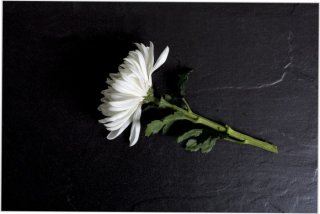 국민연금 유족연금 수급 순위 및 타 연금과의 중복 수급