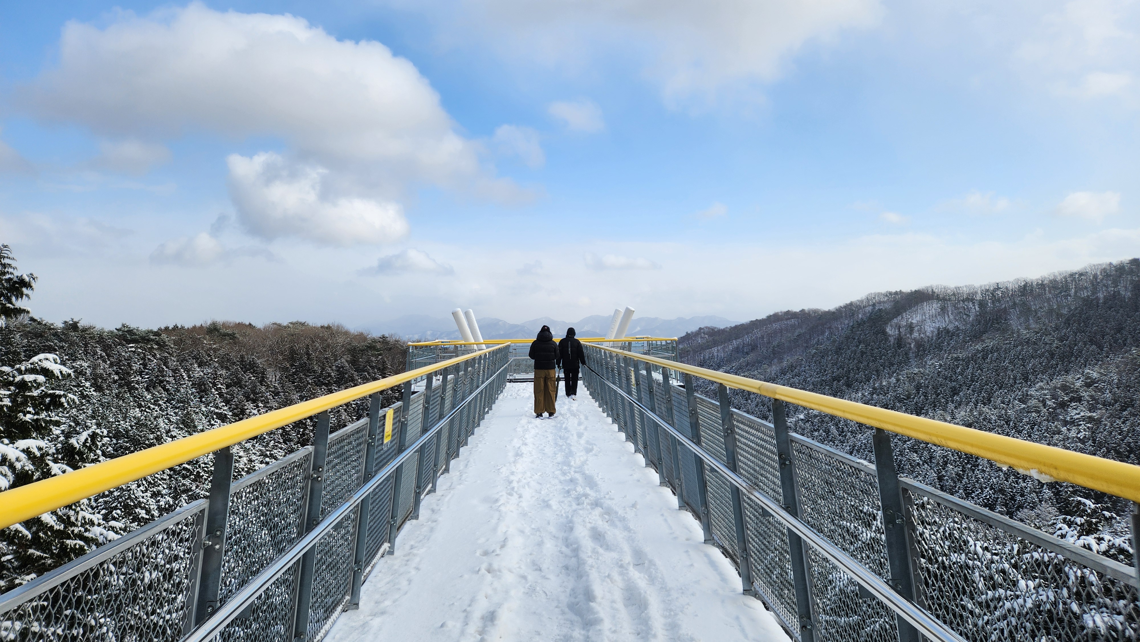 절로 숙연해지는 눈덮인 장성 치유의숲 모습