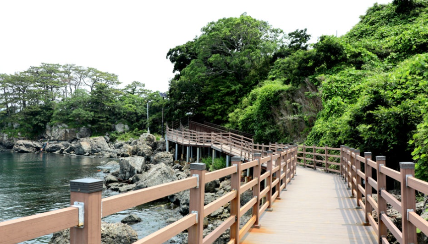 수국 명소 연화도 다음엔 어디? 통영 섬여행 가이드(욕지도, 비진도, 연대도)