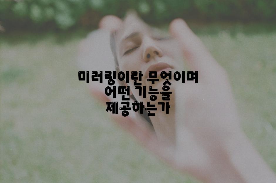 미러링이란 무엇이며 어떤 기능을 제공하는가