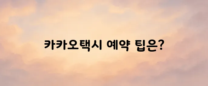 카카오택시 사용법｜예약방법