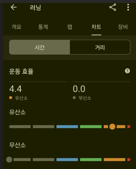 나의 가민 기록 (5월 기준)