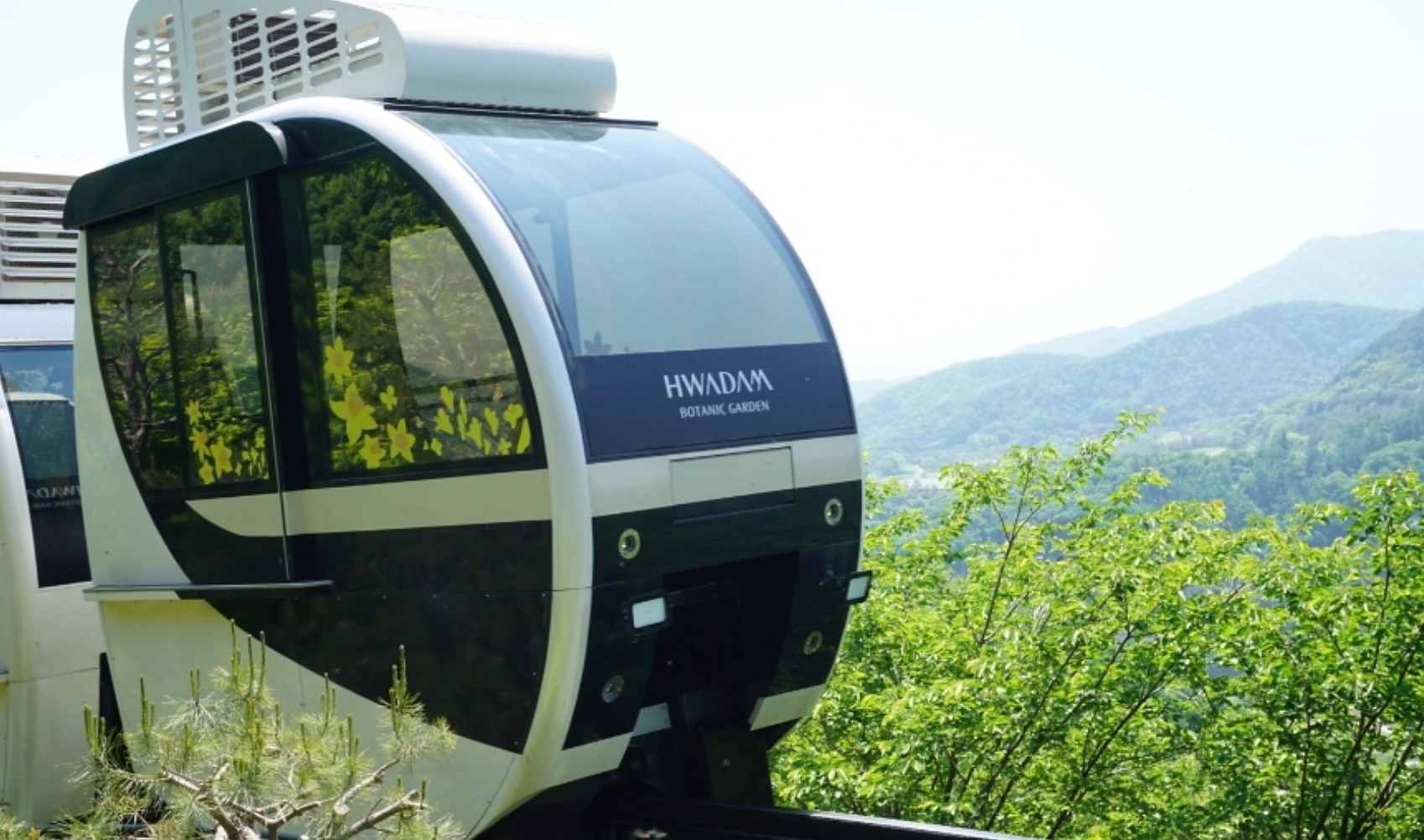 5~6월 화담숲 가볼만한 이유 6가지 - 수국축제부터 모노레일까지!