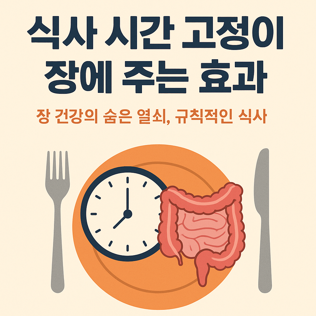 식사 시간 고정이 장에 주는 효과