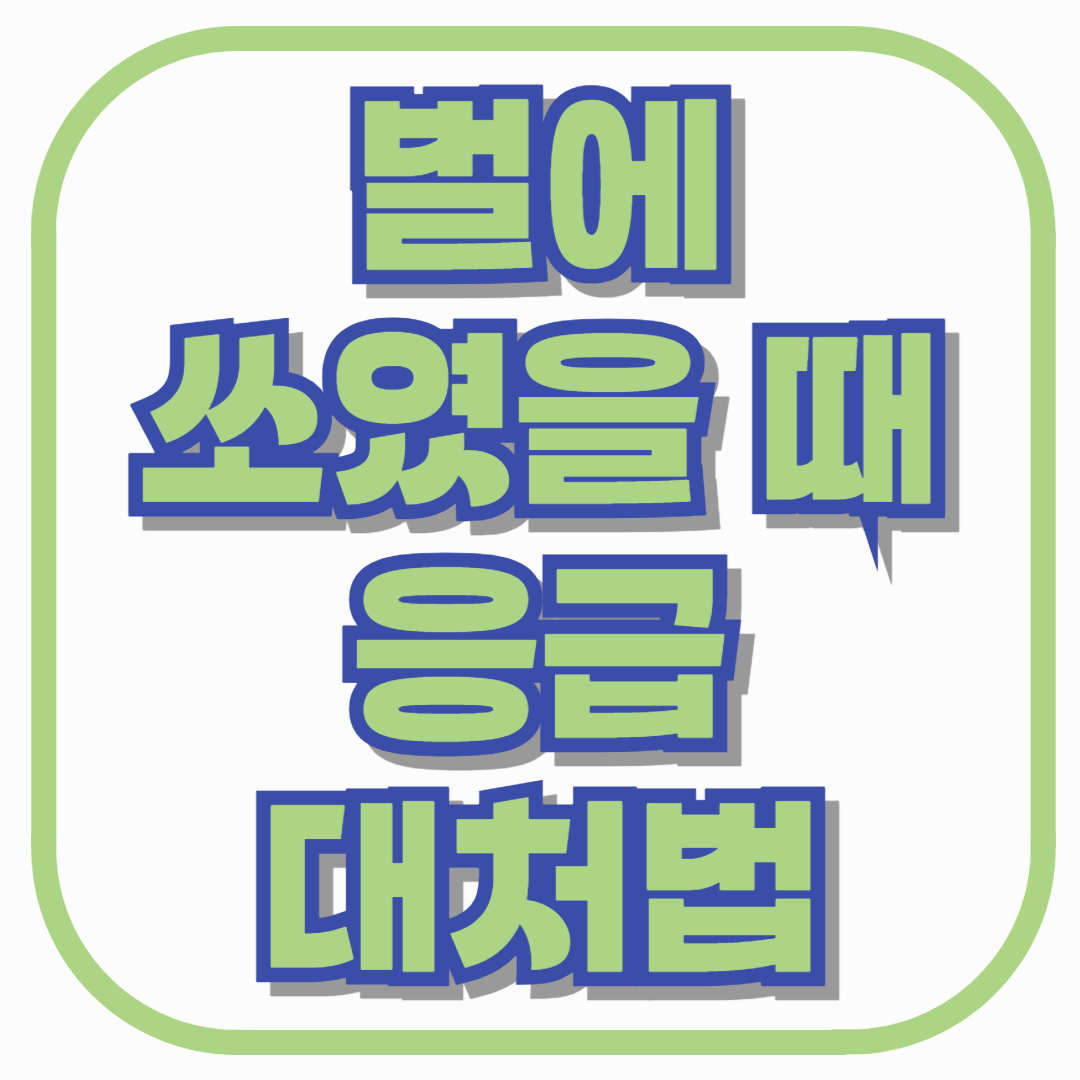 벌에 쏘였을 때 절대 하면 안 되는 행동 vs 꼭 해야 할 응급 대처법