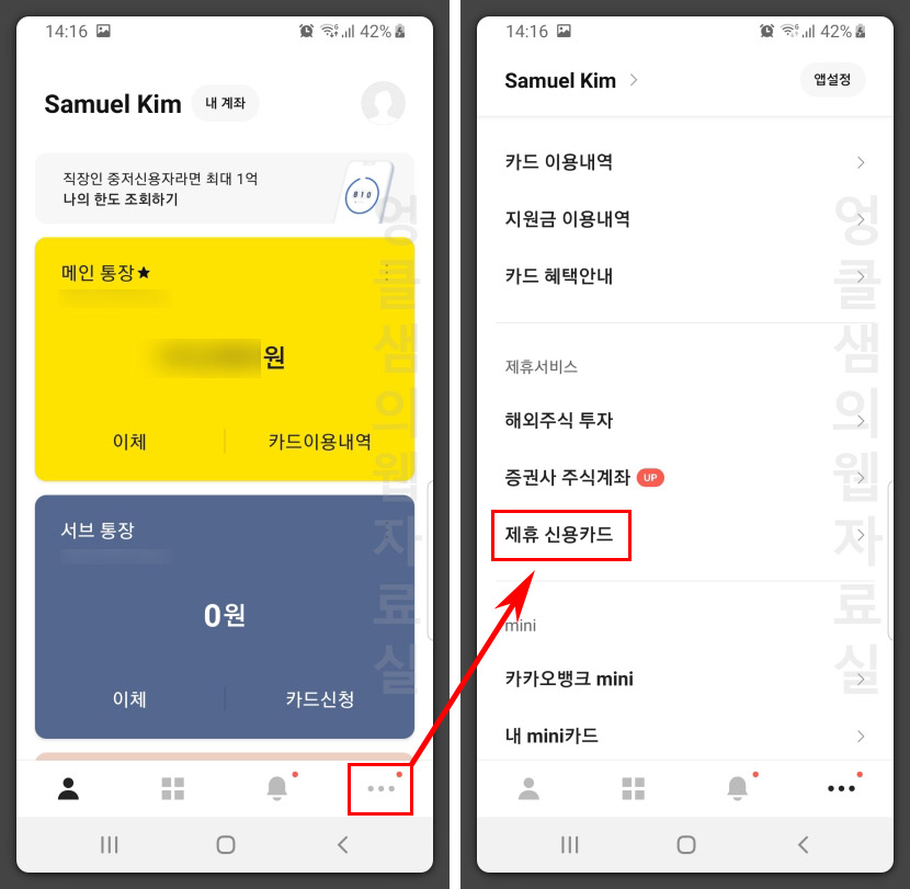 카카오뱅크 제휴 카드