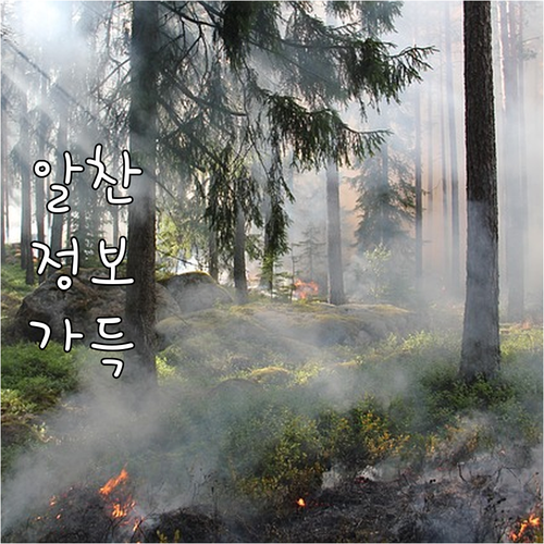 부천 중소기업 2025 디자인 지원 ..