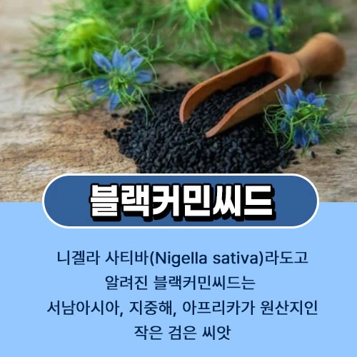 블랙커민씨드