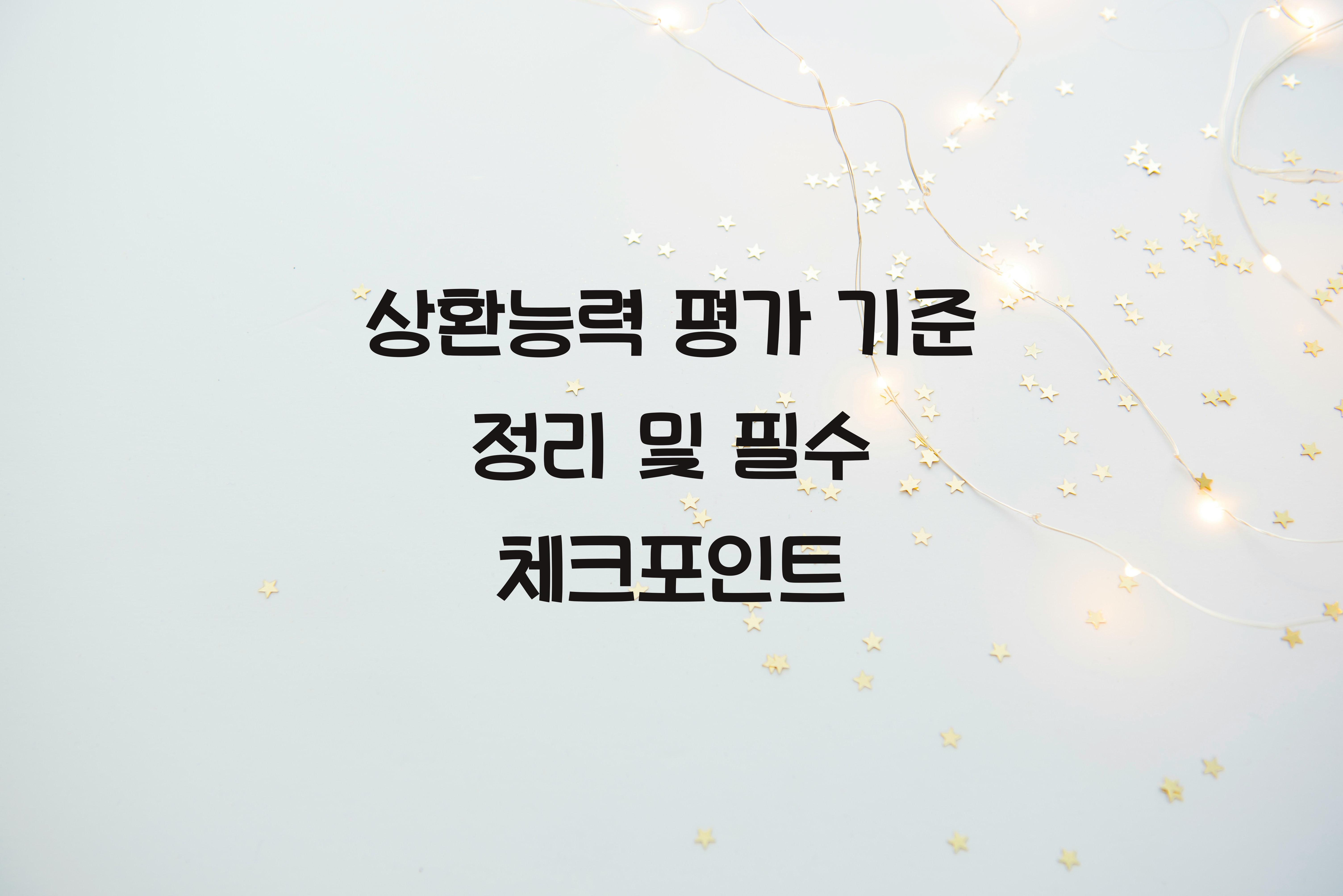 상환능력 평가 기준 정리