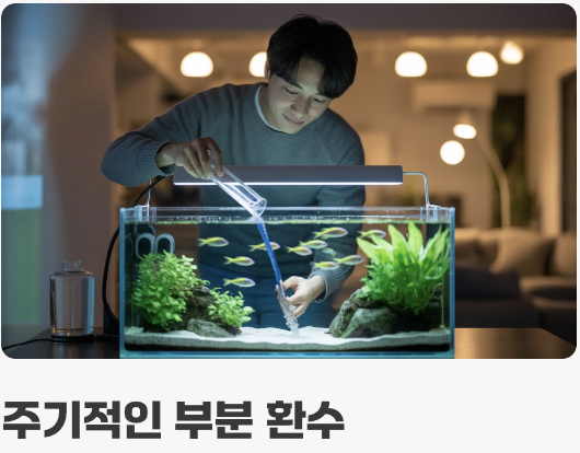 건강하게 오래 함께하는 법