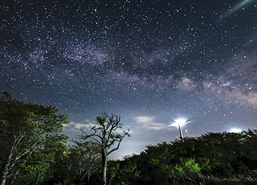 평창 청옥산육마지기