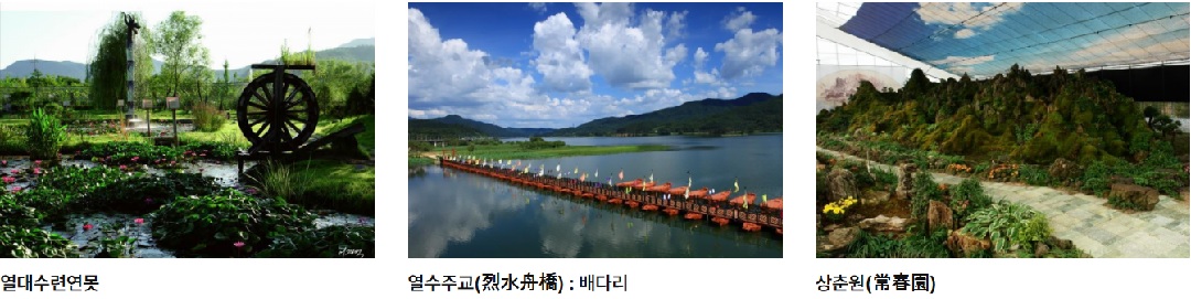 세미원 연꽃축제