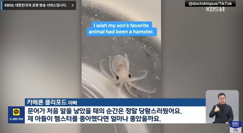 문어 사육의 문제점