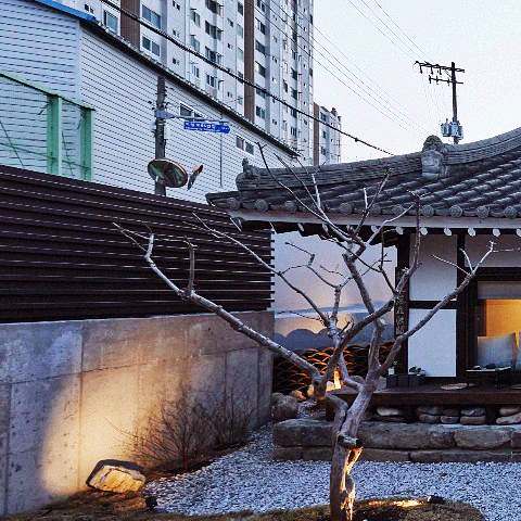 생방송오늘저녁 촌집전성시대 강원 강릉 여행 추천