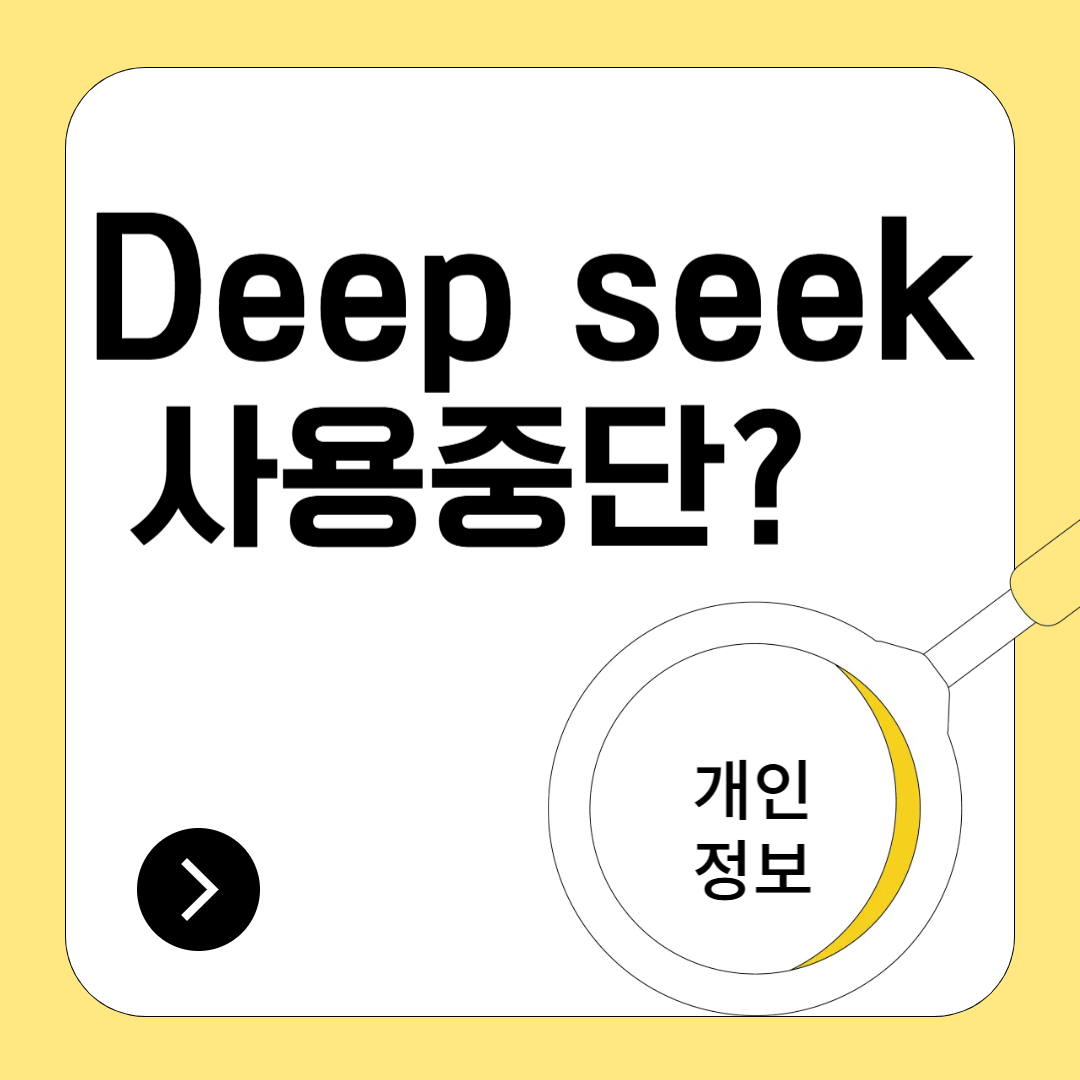 딥시크(Deepseek), 한국에서 사용 중단?!