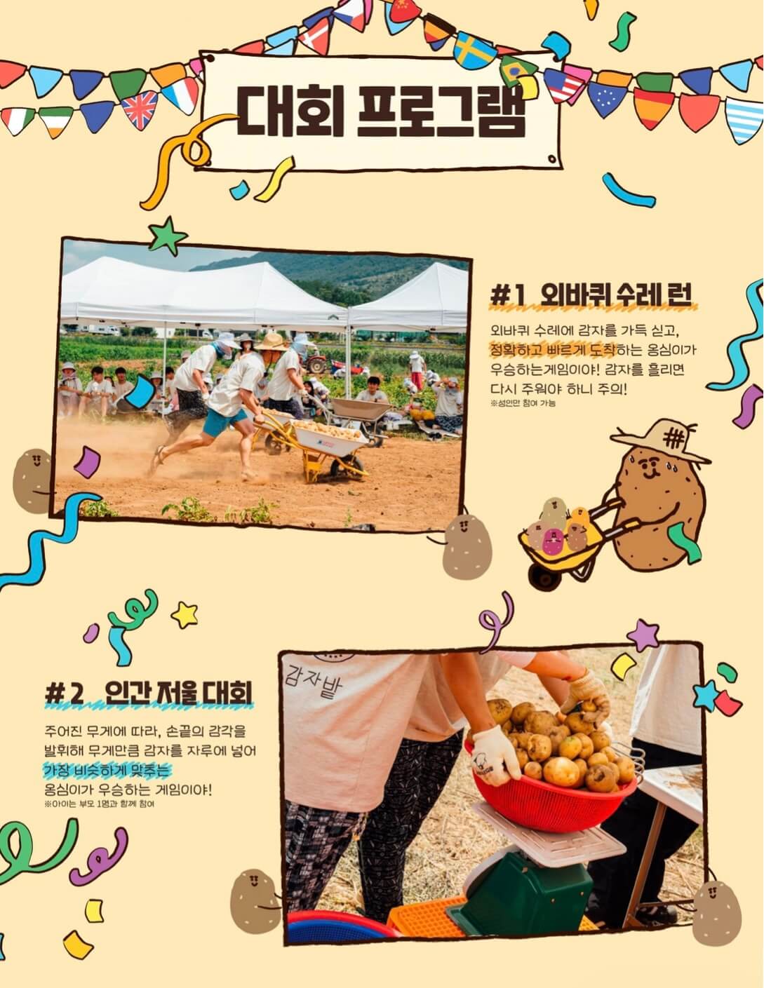 춘천 감자 축제