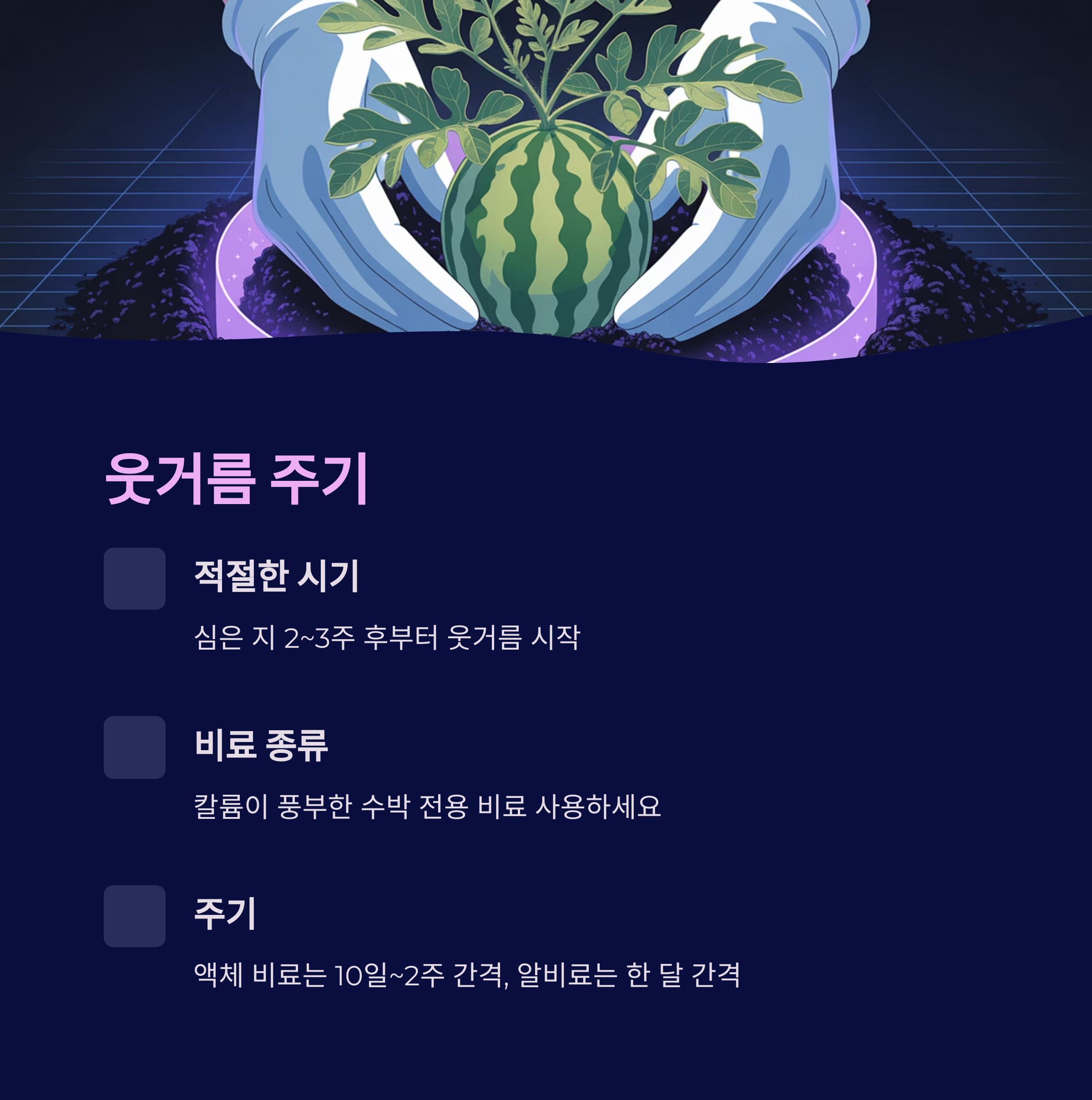 웃거름 주는 시기와 방법 – 2주 간격으로 꾸준히