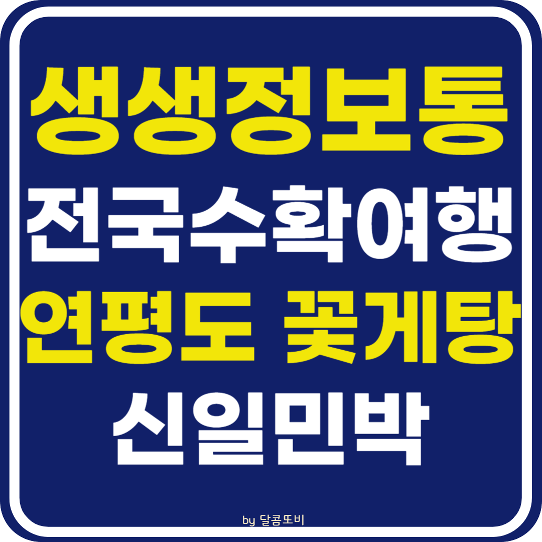 생생 정보통 맛집오늘방송 연평도 꽃게탕