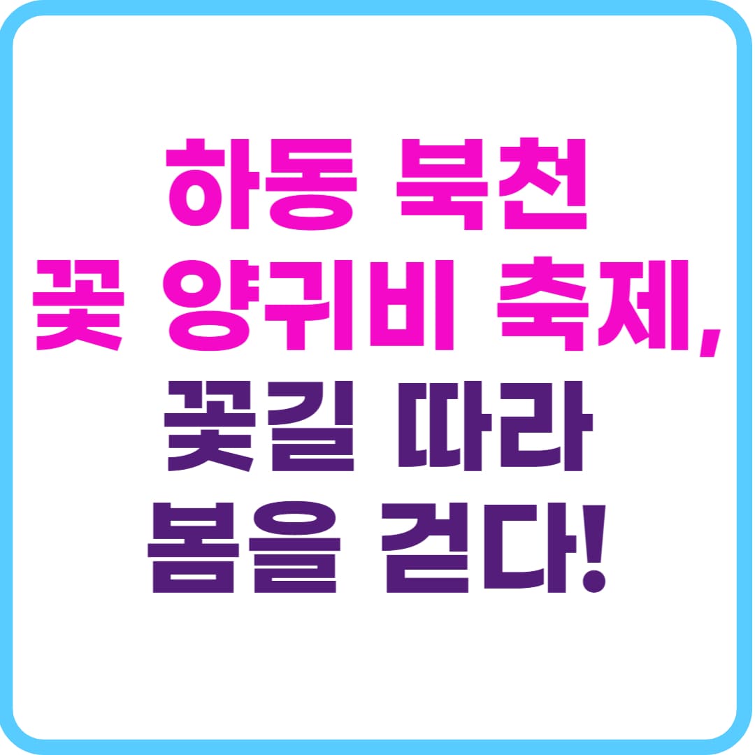 하동 북천 꽃 양귀비 축제, 교통·주차·체험 완벽정리