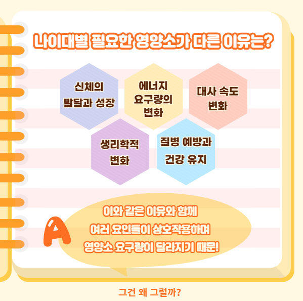 우리는 각자 나이에 맞는, 나이대별 필요한 영양제를 꼭 먹어줘야한다.