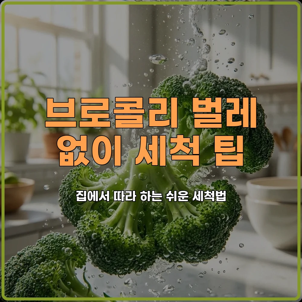 브로콜리세척