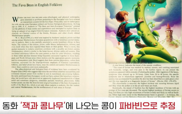 파바빈이란