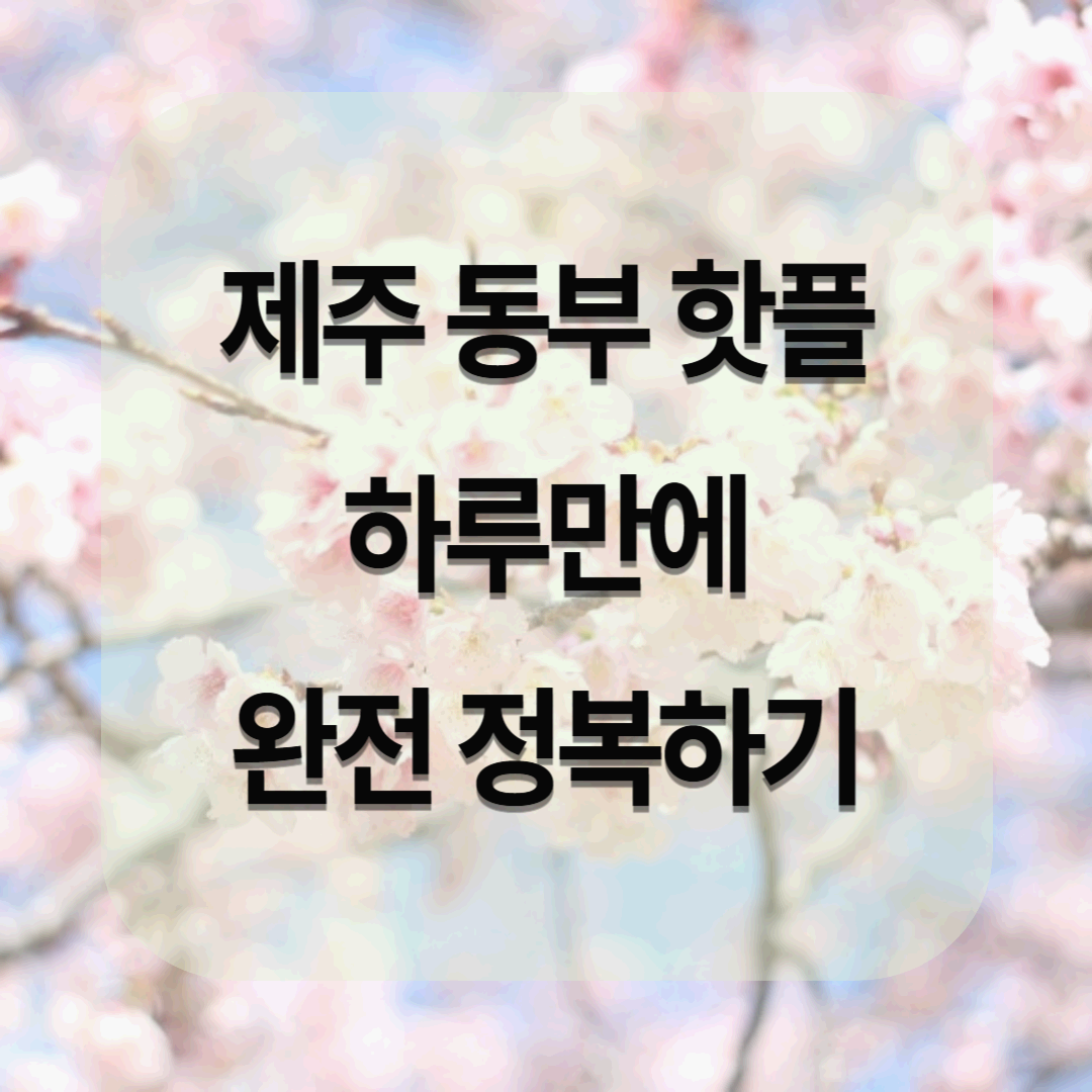 제주 동부 여행 하루 만에 동부 핫플 완전 정복! (렌터카없이도 가능!)