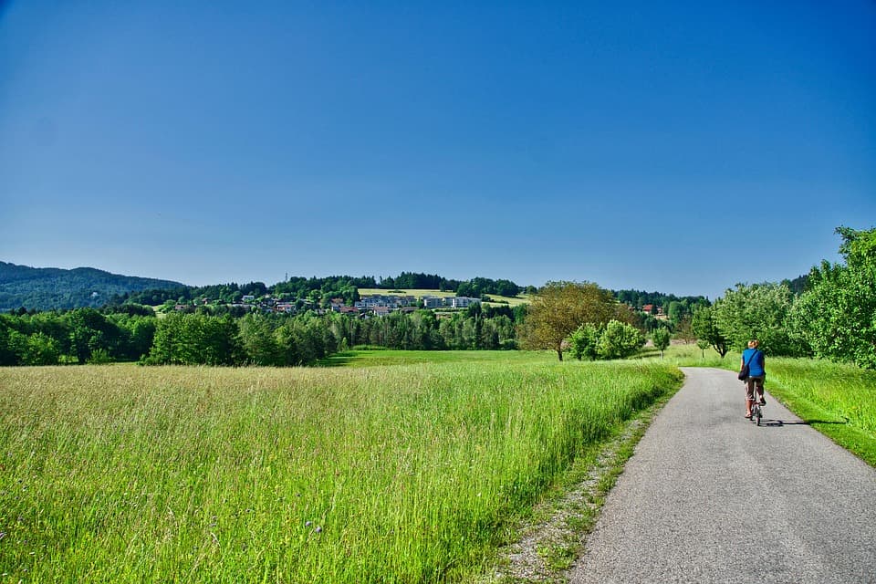 농지취득자격증명 발급