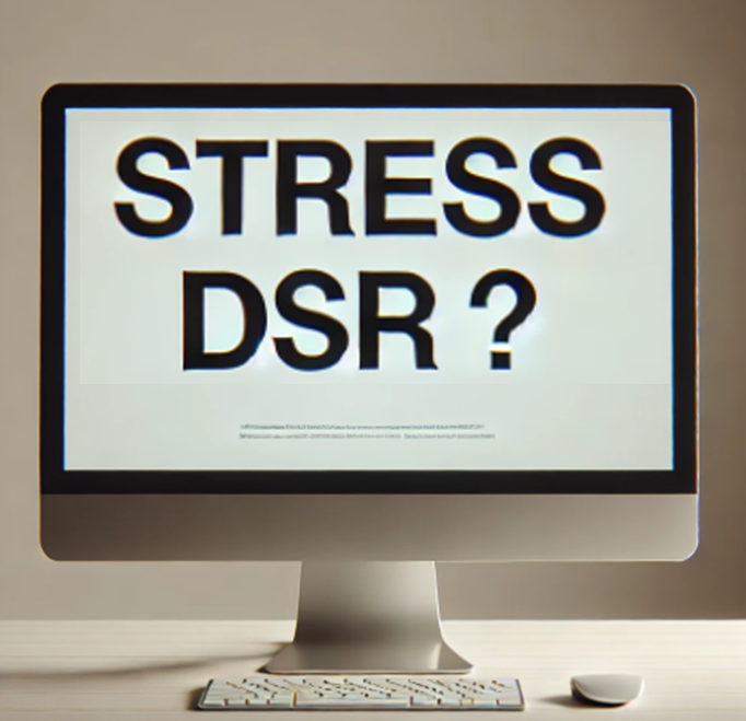 스트레스DSR
