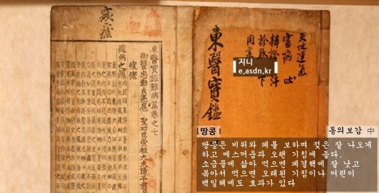 땅콩 효능 11가지와 부작용 총정리...음식건강이야기 열일곱번째