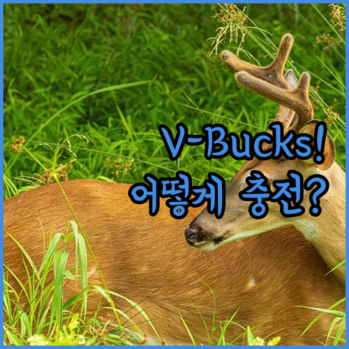 V-Bucks 모자란 당신을 위한 전..