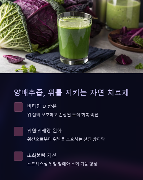 양배추즙 위를 지키는 자연 치료제
