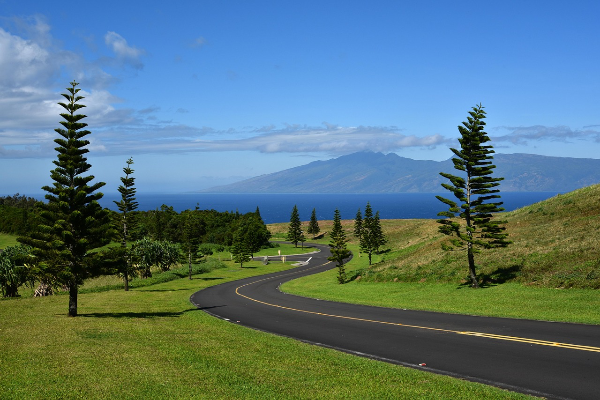 마우이-도로-사진