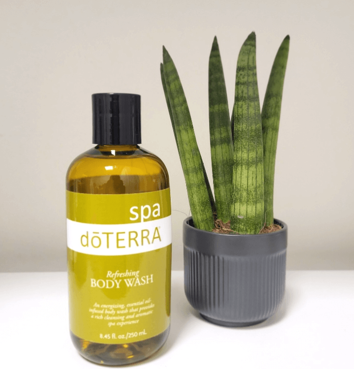 리프레싱바디워시