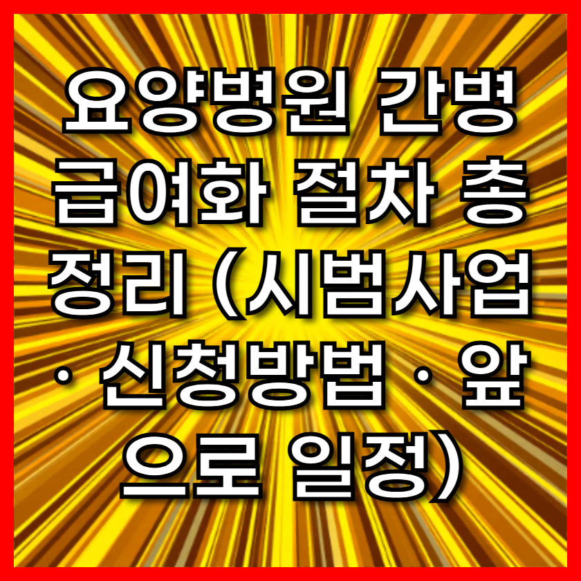 요양병원 간병 급여화 절차 총정리 (시범사업 · 신청방법 · 앞으로 일정)