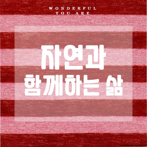 자연과 더불어 사는 법: 지속 가능한 삶의 모든 것